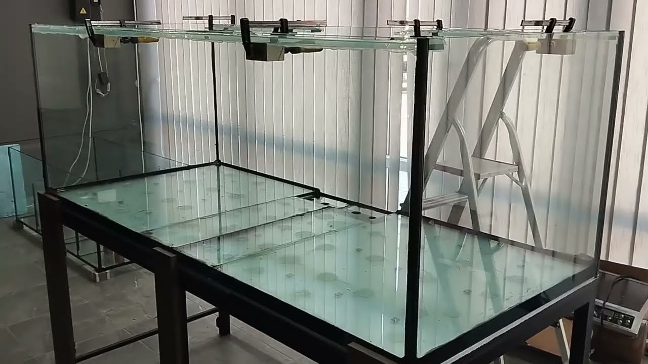 Будую акваріум на 1000 літрів.