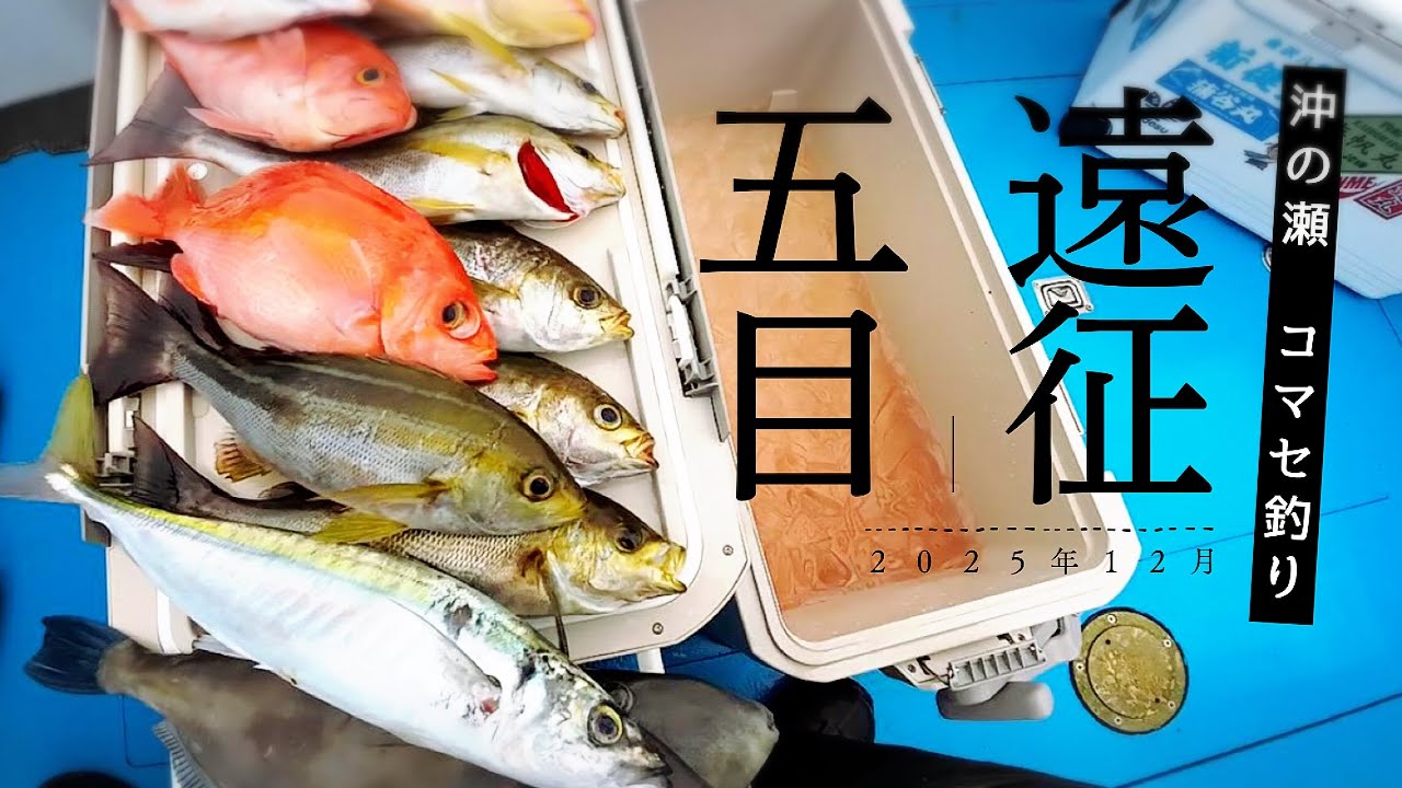 【遠征五目釣り】次はなに来る!?ワクワクが止まらない！コマセ・船釣り・仕掛け｜沖の瀬｜2025.12.21