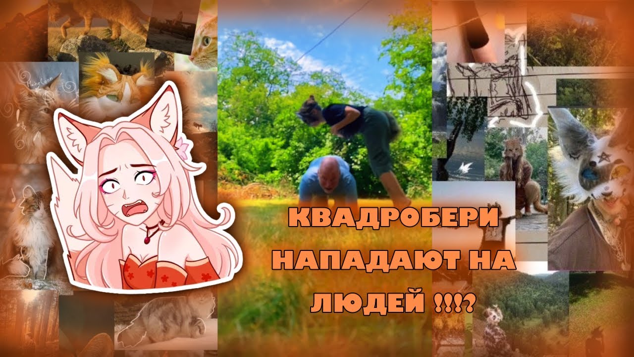 Реакция на квадробику !😱|едят корм и нападают на людей?!!