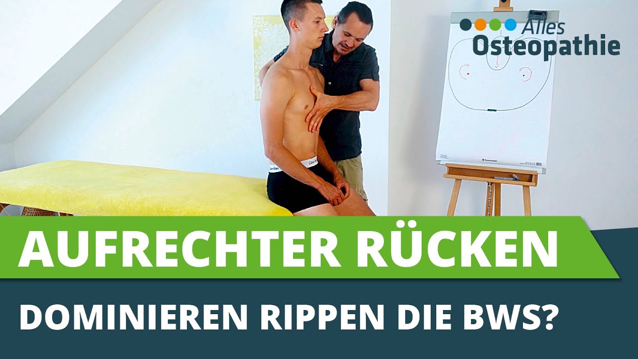 Krummer Rücken? - Einfluss der Rippen auf die Aufrichtung der Brustwirbelsäule - Alles Osteopathie