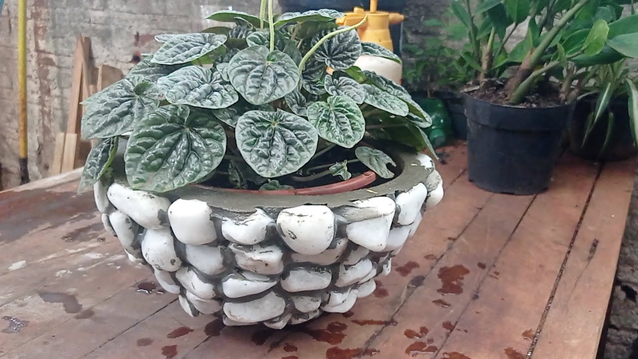 COMO FAZER VASO COM PEDRAS