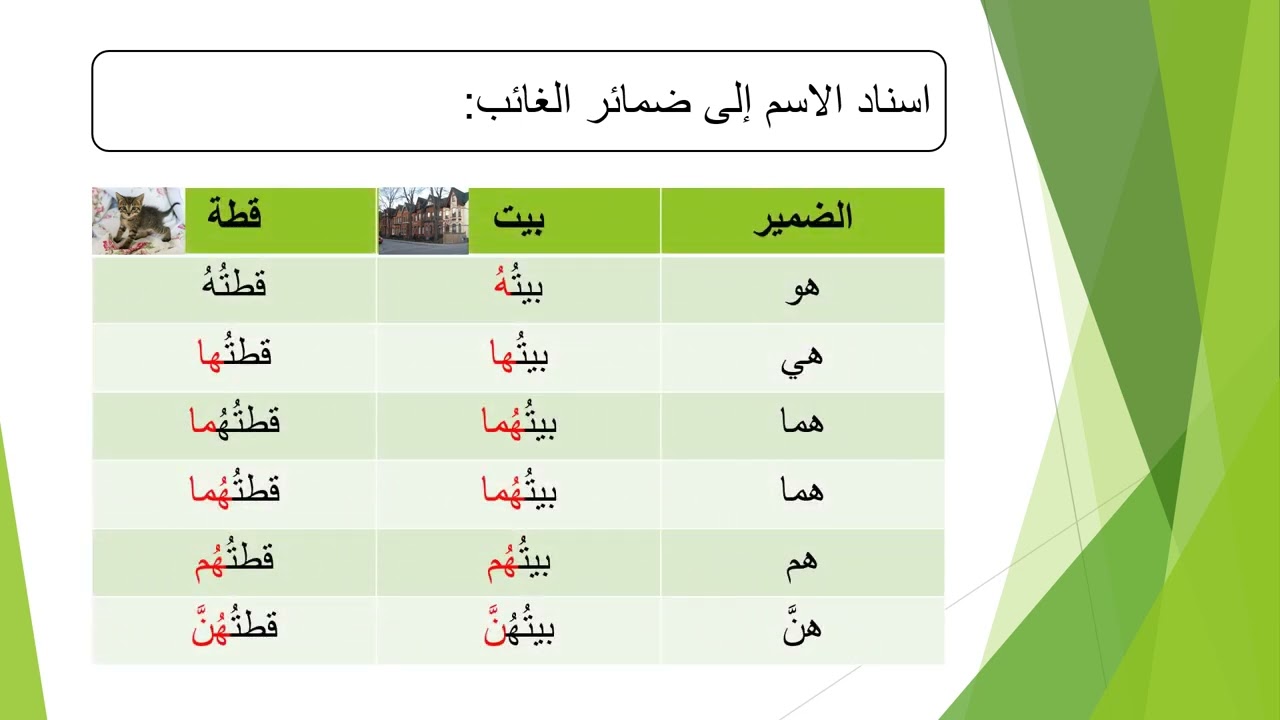 اسناد الاسم إلى الضمائر