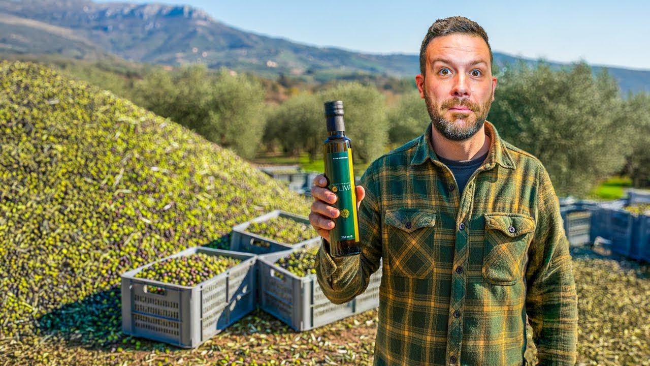 How to Make Olive Oil at Home: The Ultimate Guide