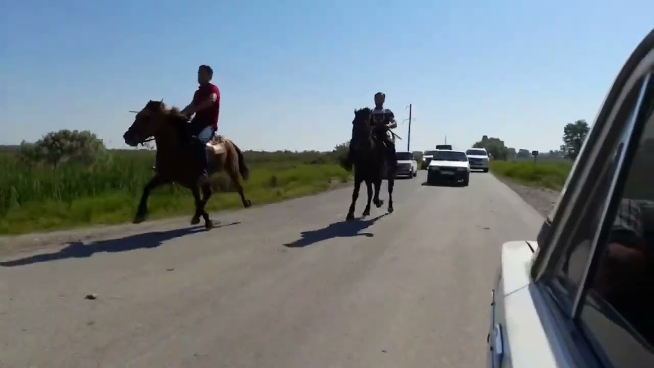 Berdede kecirilən 6 km məsafəyə yarışın qalibi Fəlinin Qaraat ləqəbli atı.