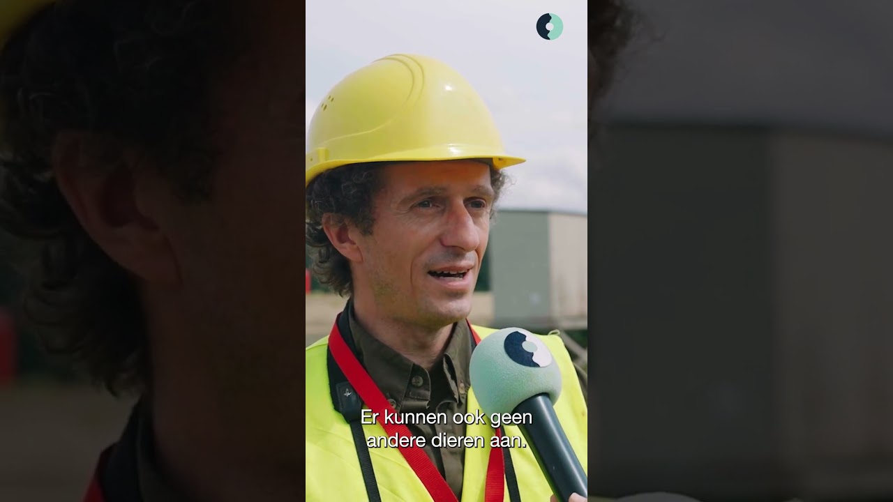 Een broedplaats voor de beschermde oeverzwaluw op onze werf