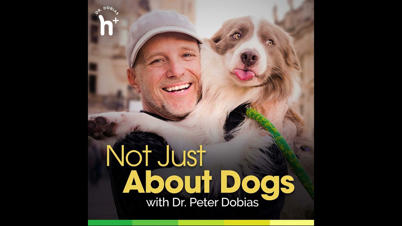Episode 17: Interview with an Australian holistic vet - Dr. Edward Bassingthwaite