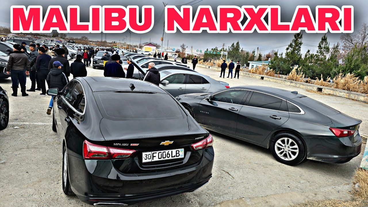 Malibu Narxlari Samarqand Mashina bozori 