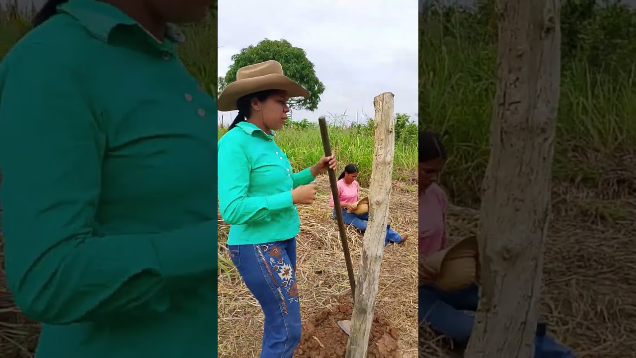 A nova funcionária armou para cima da garibalda
