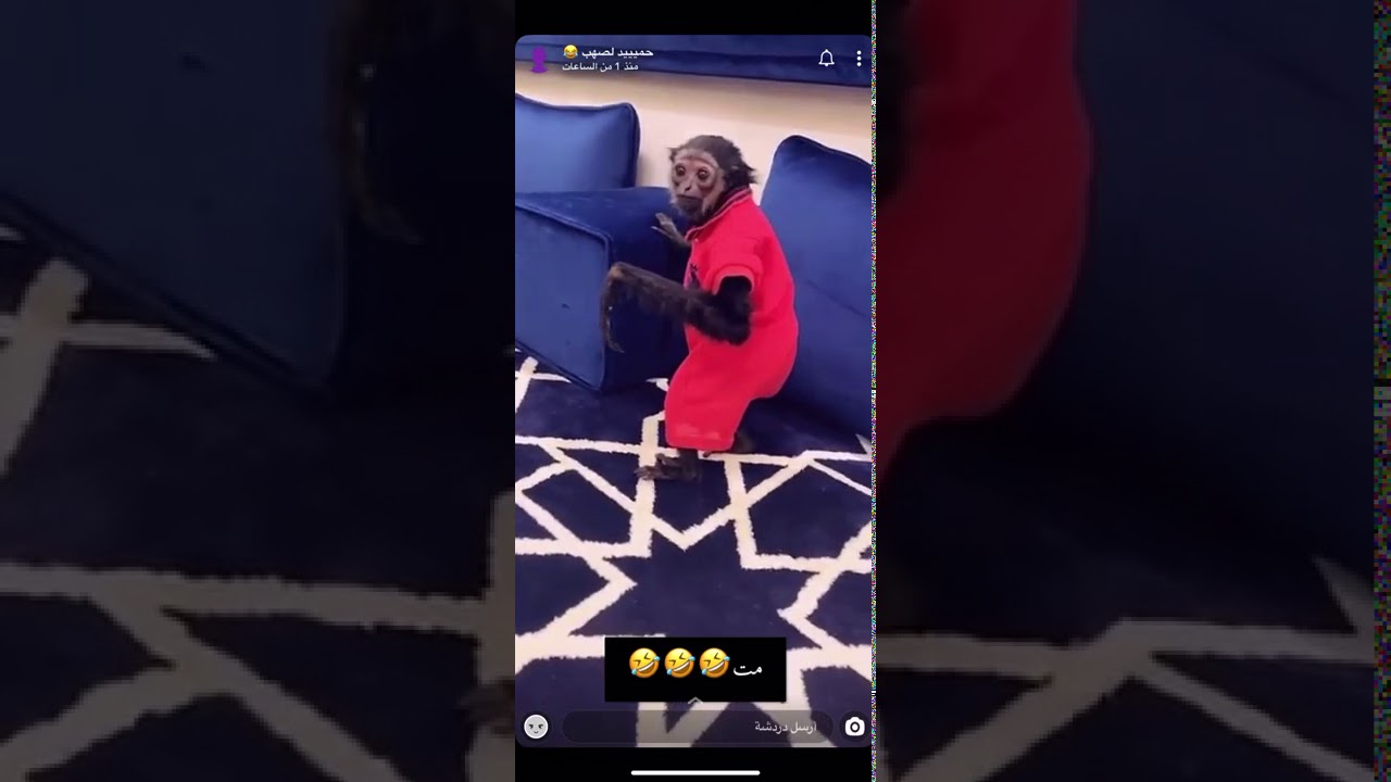 مقلب ناريي 🔥في حسون 😂😂😂