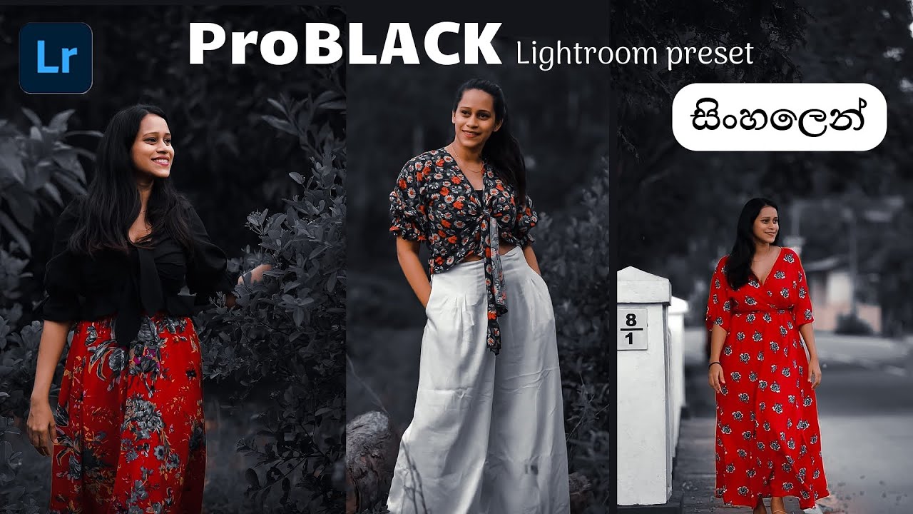 ProBlack preset | How to edit black preset in Lightroom mobile 2024 | Lightroom mobile | සිංහලෙන් 🇱🇰