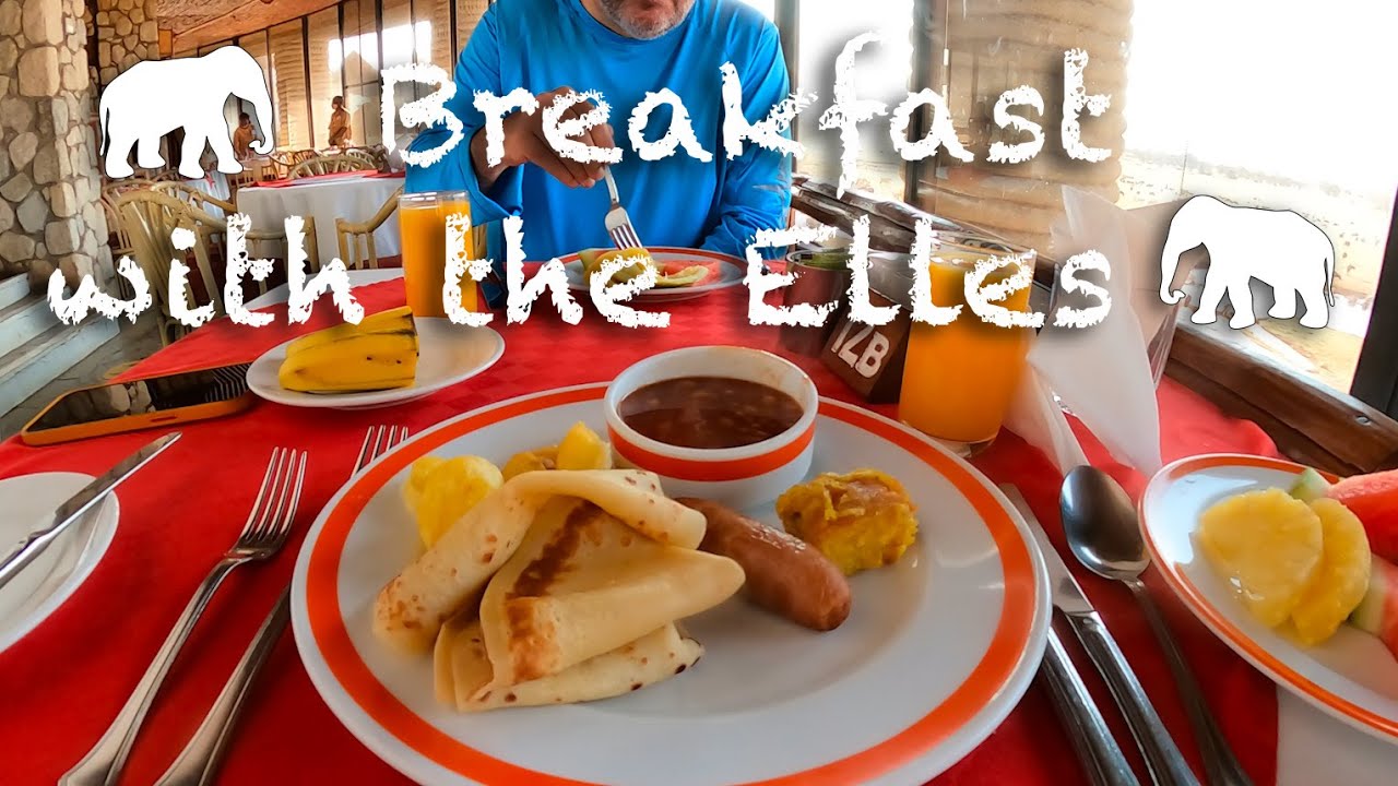 Eating Breakfast with the Elephants of Salt Lick Safari Lodge