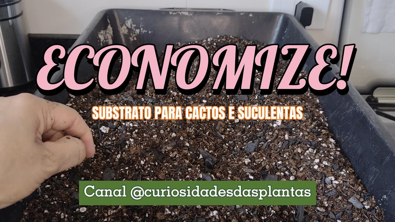 NÃO GASTE MAIS SEU DINHEIRO! Este SUBSTRATO você FAZ NA SUA CASA e é IDÊNTICO aos comprados!