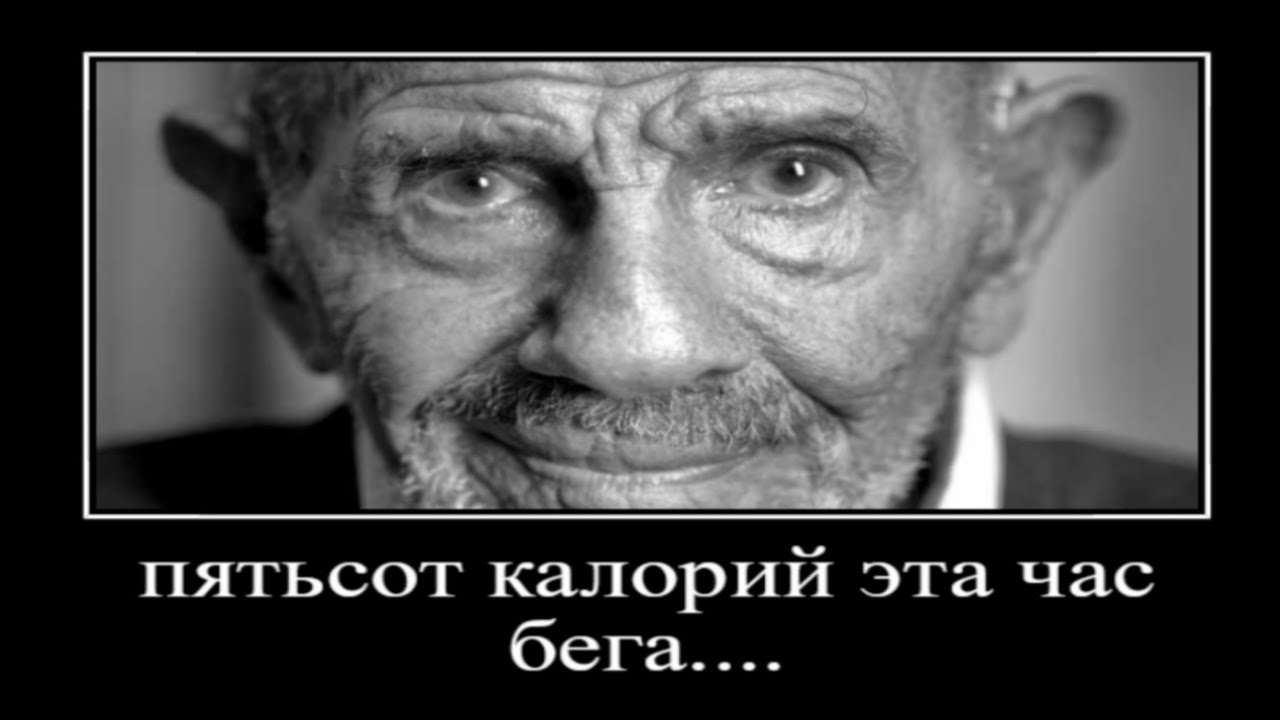 цитаты злого как смысл жизни 3 часть
