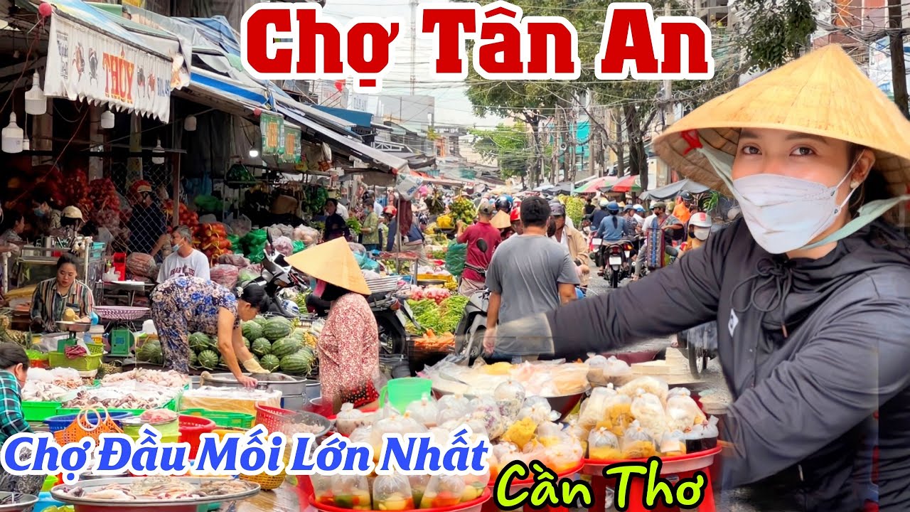 CHỢ TÂN AN - Chợ Đầu Mối Lớn Nhất Cần Thơ Ngập Tràn Cá Biển, Trái Cây Tươi Ngon GIÁ CẢ ĐẦY ĐỦ | KPVL