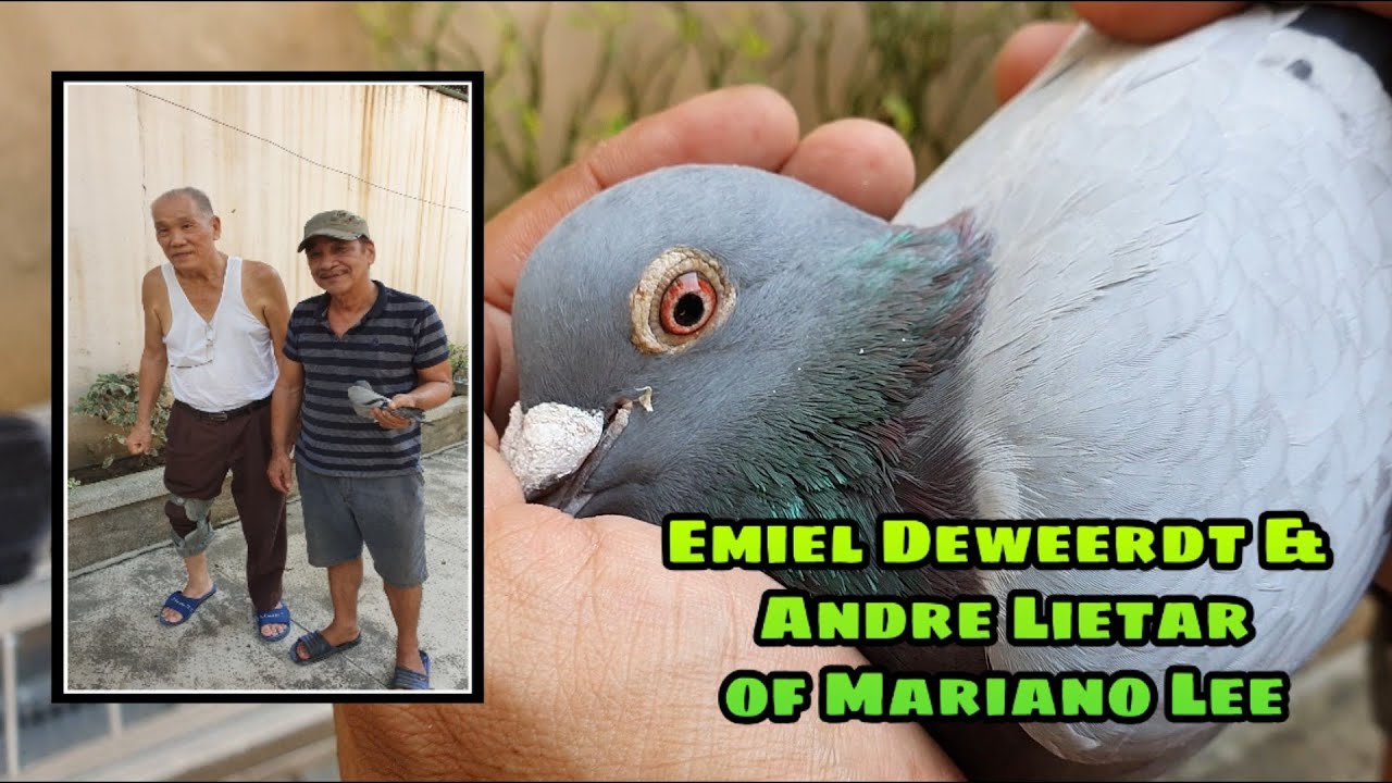 Mariano Lee Visit Part 2 At May Pa Gift Bird Pa!