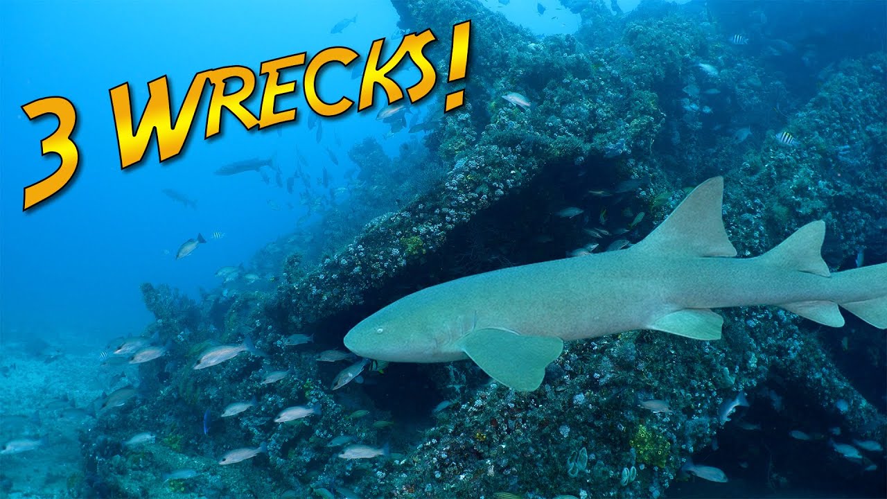 Exploring Three Shipwrecks in one dive off Riviera Beach Florida!