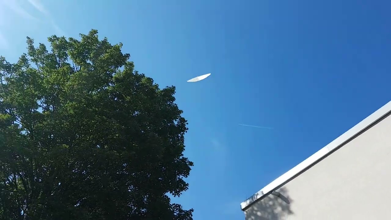 Microsoaring - Baby Bug and Swift