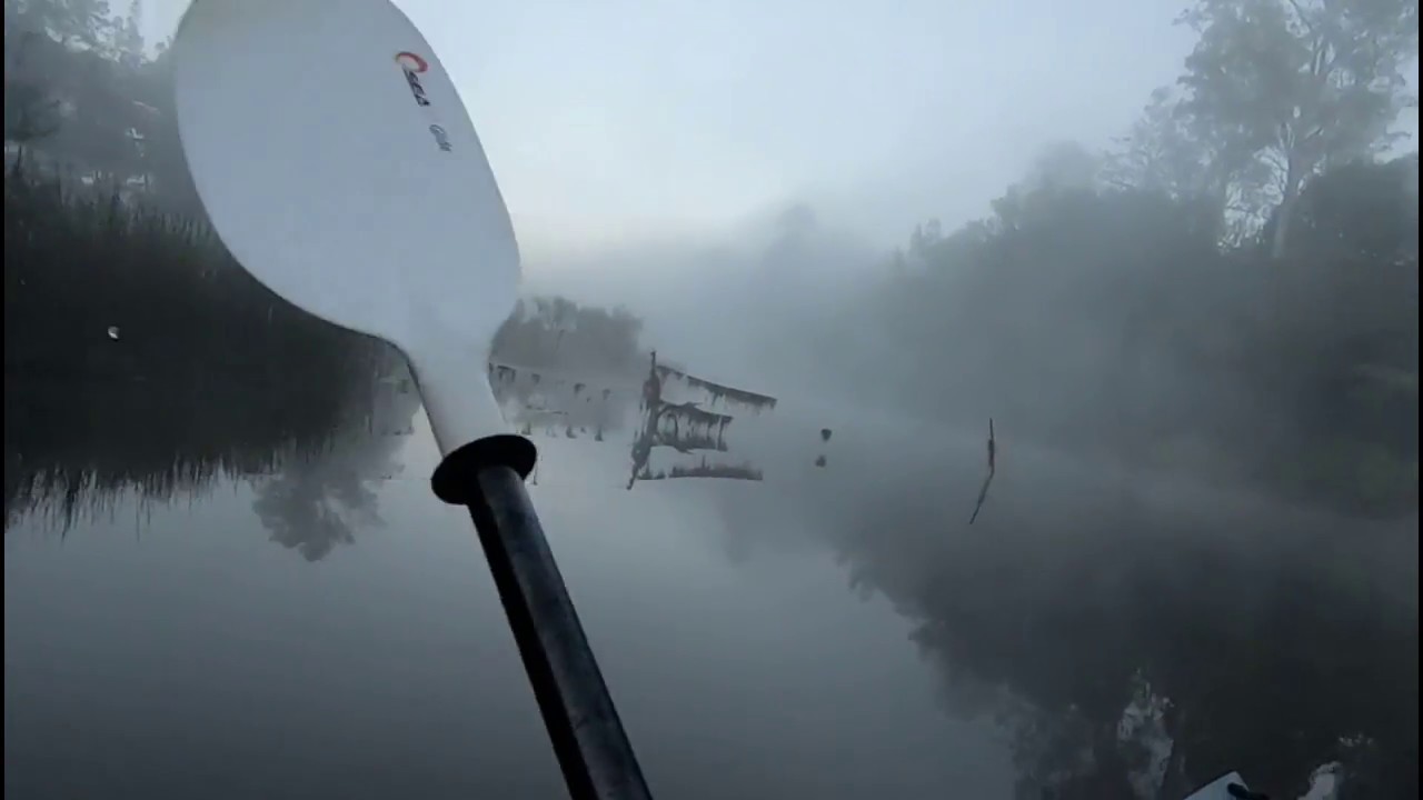Mary river sunrise paddle