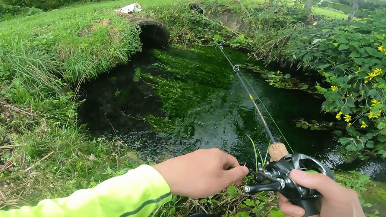 Fishing in a Tiny Creek!!!