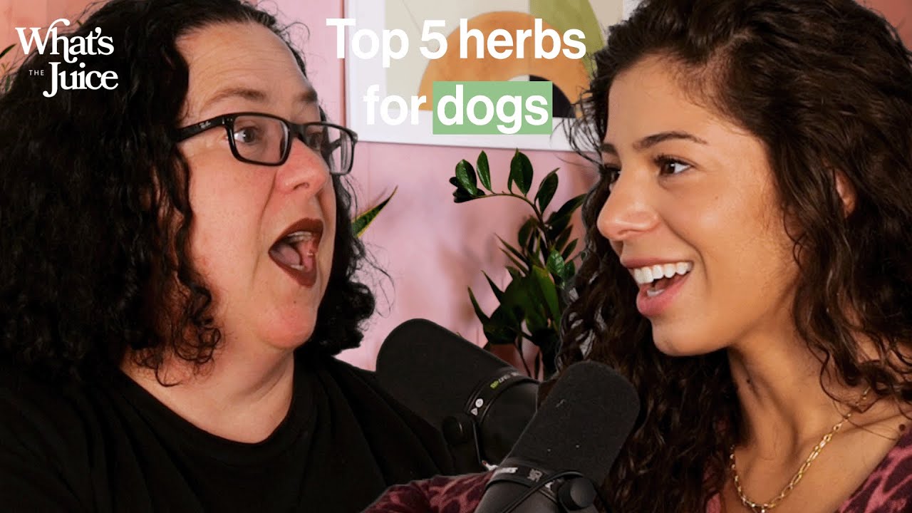 Life-Changing Herbs for Your Dog with Expert Canine Herbalist Rita Hogan
