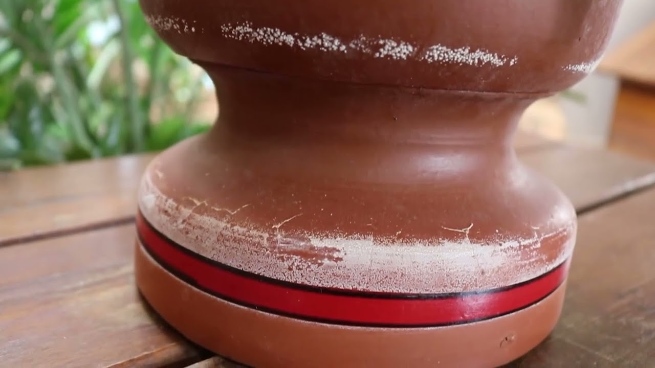 Filtro de barro com mofo ou bolor? Confira a solução!