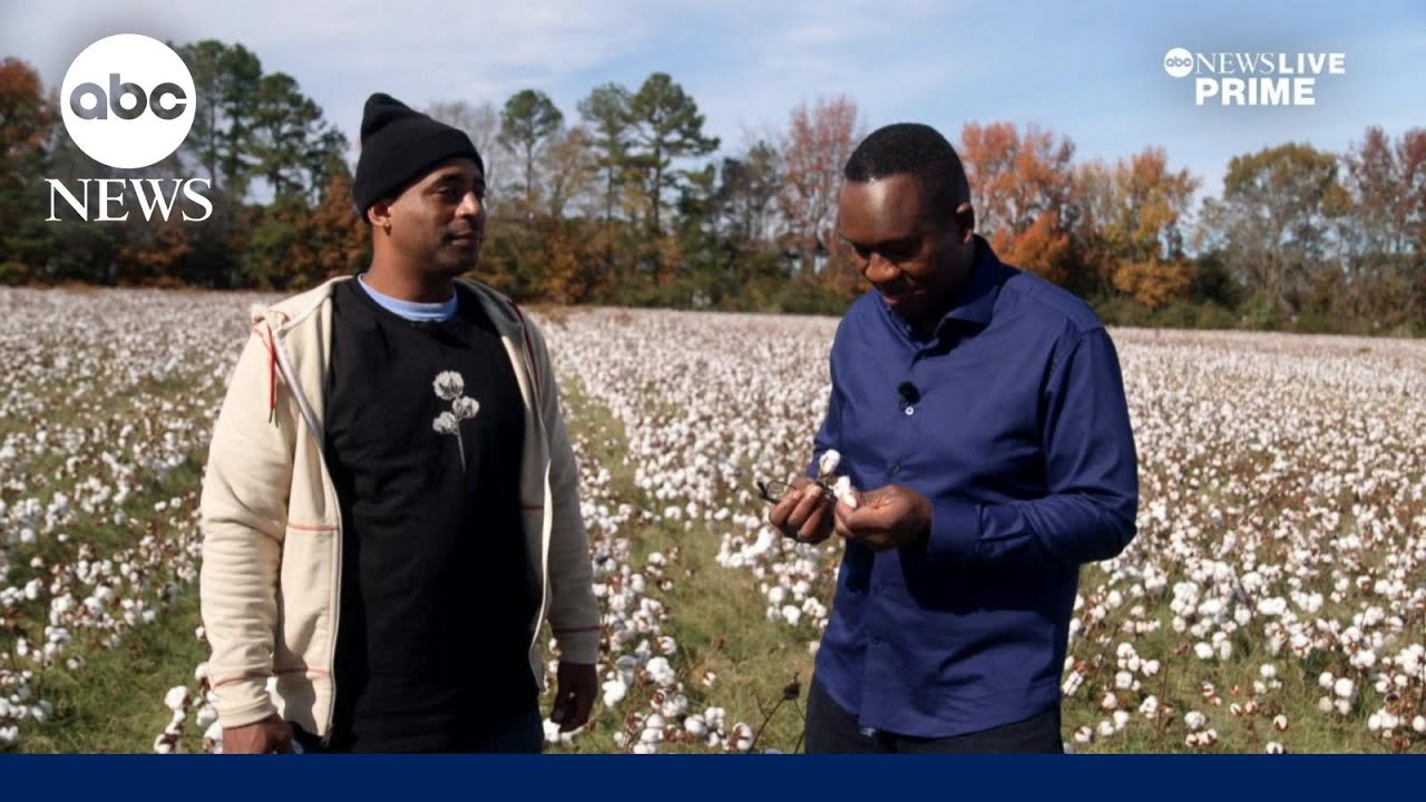 Black farmer fights stigma around cotton