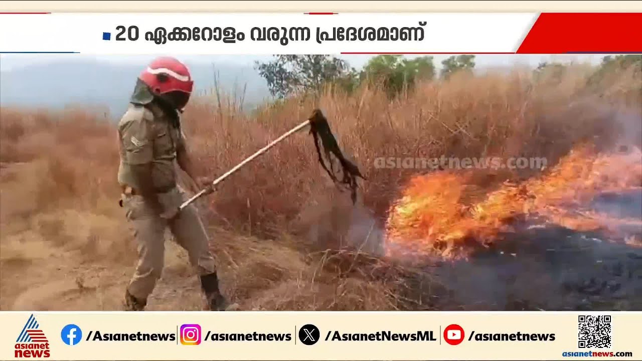 ഉള്ളിയേരി തണ്ണീര്‍ മലയില്‍ അടിക്കാടിന് തീപിടിച്ചു; ഫയർഫോഴ്‌സും നാട്ടുകാരും ചേർന്ന് തീ അണച്ചു