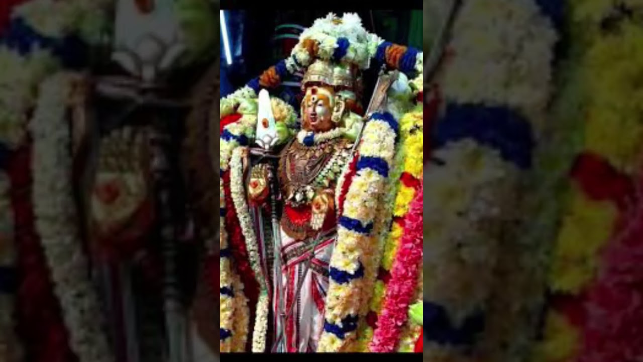 🙏🙏🙏 காலையிலே உந்தன் #காட்சி தெரியுது முருகா#🌹