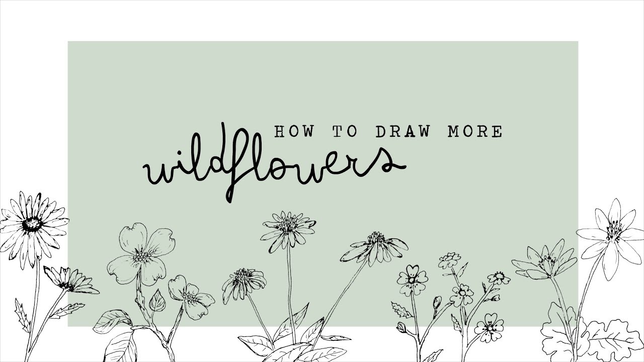 how to draw more wildflowers