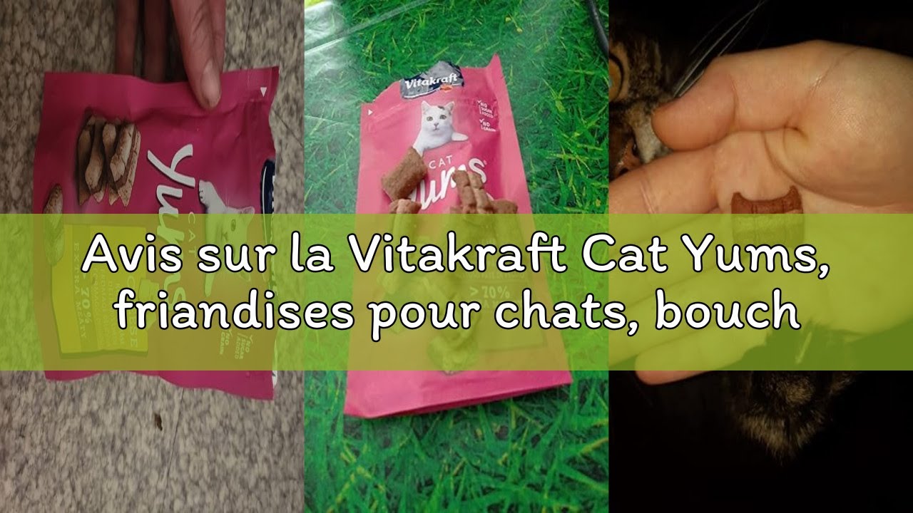 Avis sur la Vitakraft Cat Yums, friandises pour chats, bouchées tendres fourrées au poulet et à l’he