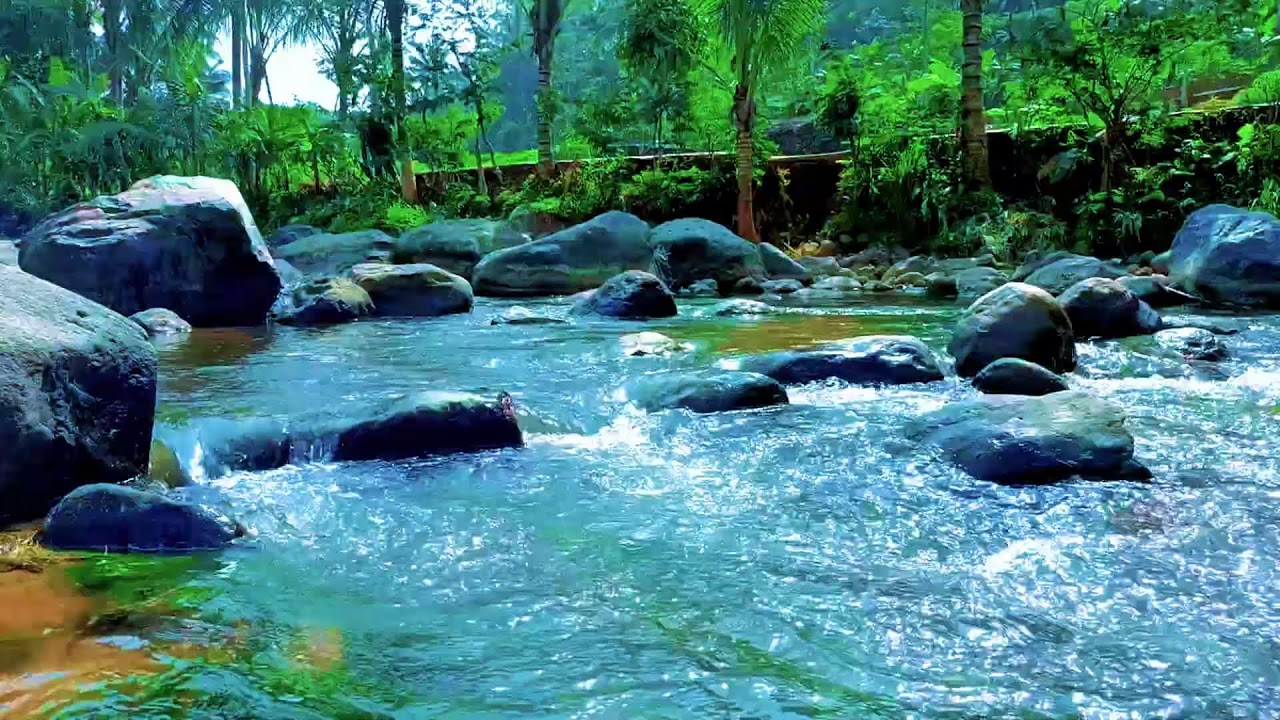 Deep Sleep River Soundscape with Gentle Flowing Water and Nature Sounds