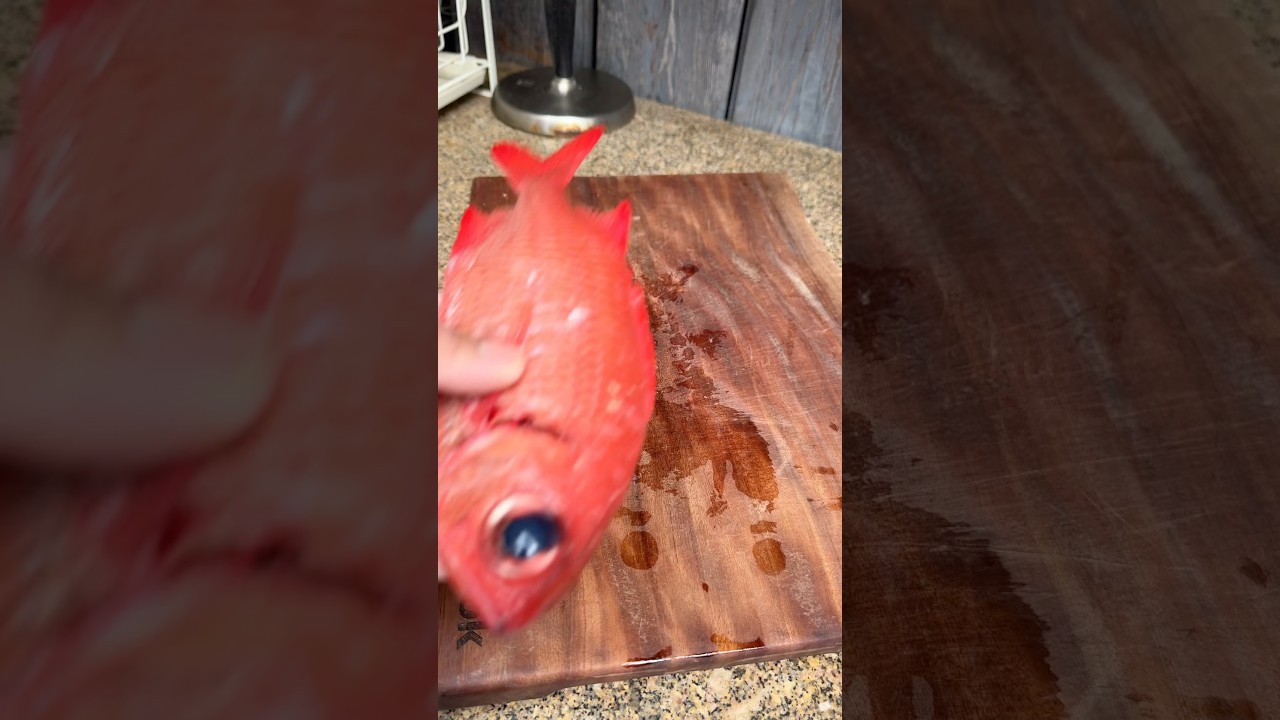 Catching and cooking menpachi and To&rsquo;au #catchandcook #spearfishing #hawaii