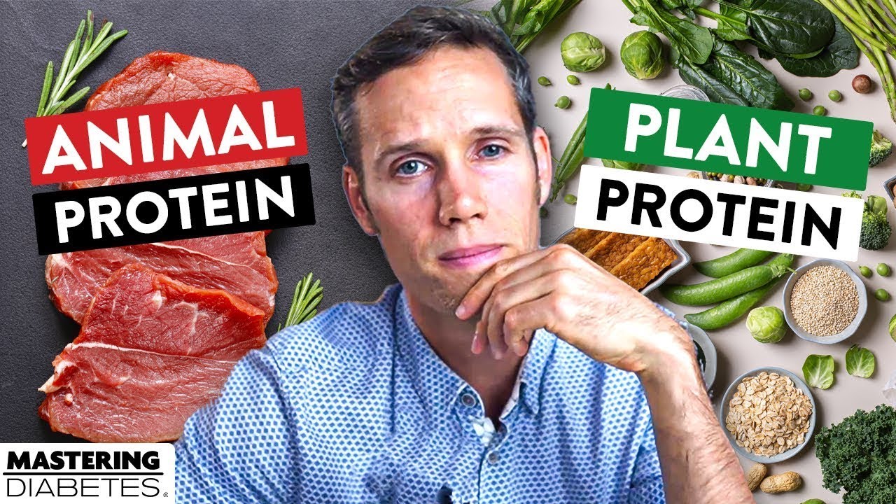 Why Plant Protein Is Healthier Than Animal Protein | Dr. Garth Davis | Mastering Diabetes