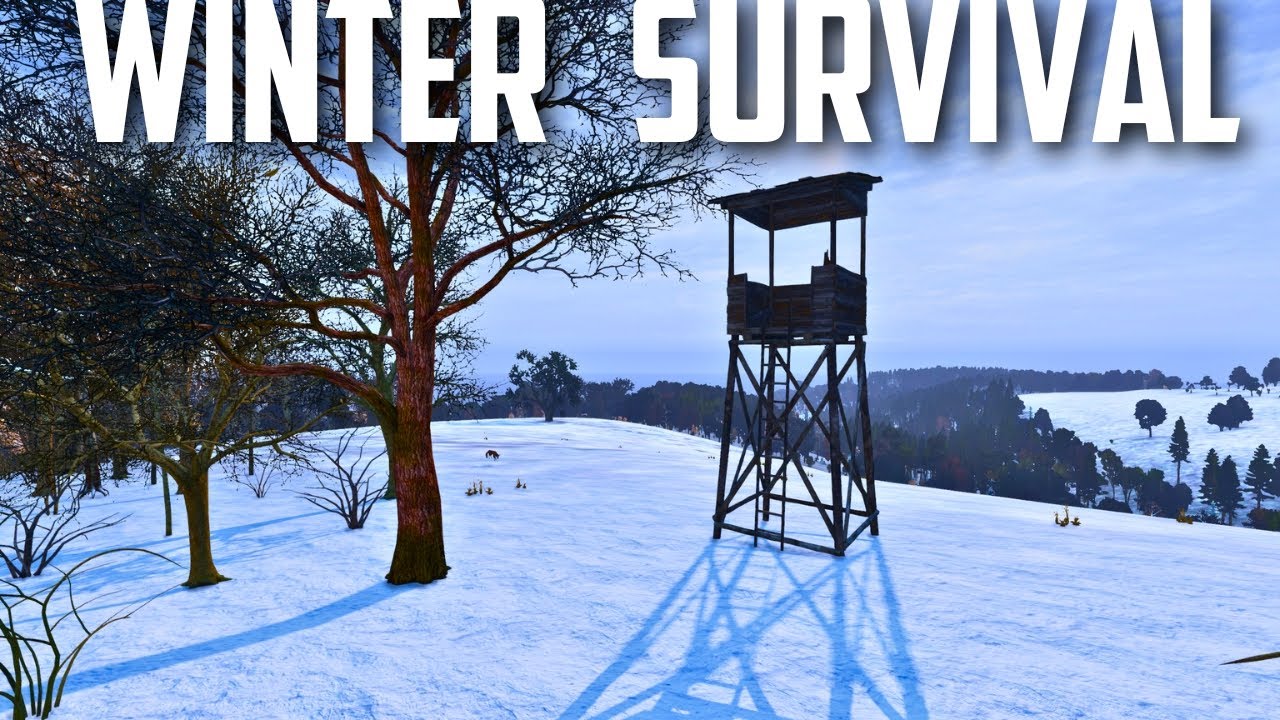 SOLO Winter DayZ Survival