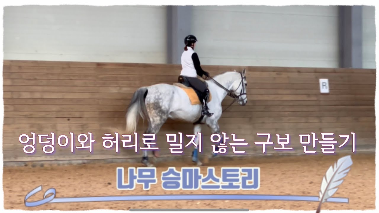 나무 승마스토리 2023 /에이스 승마랜드/아스트릭스/푹신구보/구보교정계속