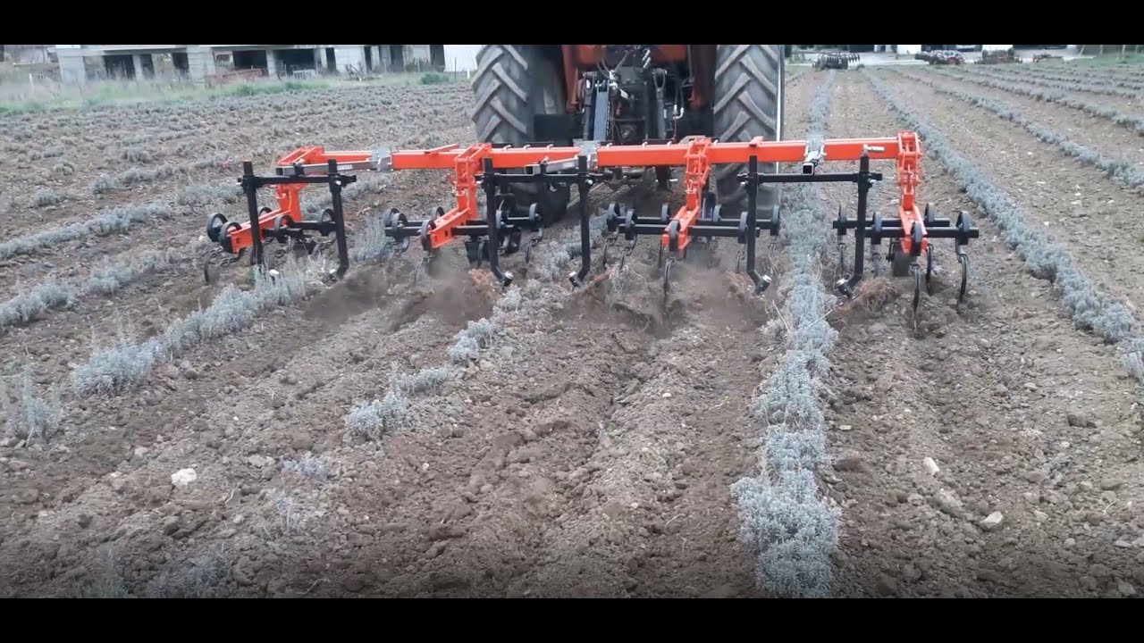 SKAK-3: Σκάλισμα Λεβάντας / Weeding machine for lavender / Окопаване на лавандула