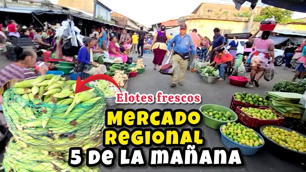 🤗🚨comprando elotes🌽 a las 5 de la mañana en MERCADO REGIONAL DE USULUTÁN EL SALVADOR 🇸🇻