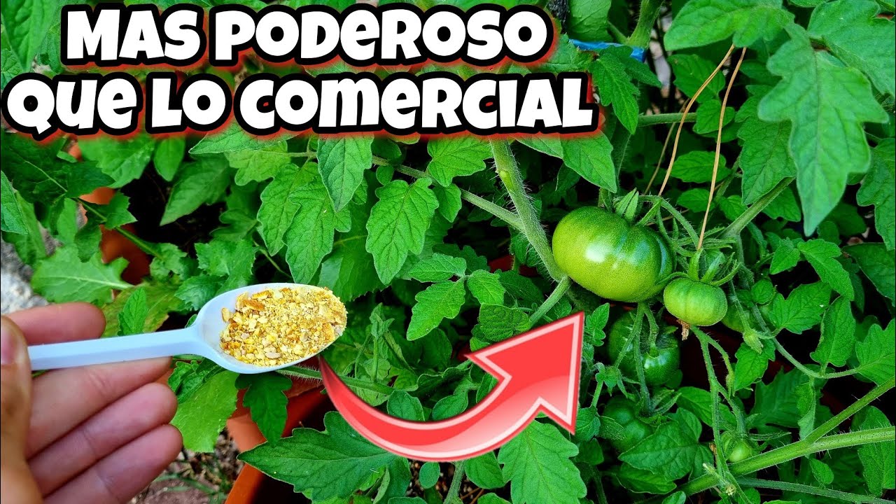 NUNCA MÁS TIRES ESTO! Es un potente ABONO CASERO para tus PLANTAS! Huerto urbano en casa y jardín