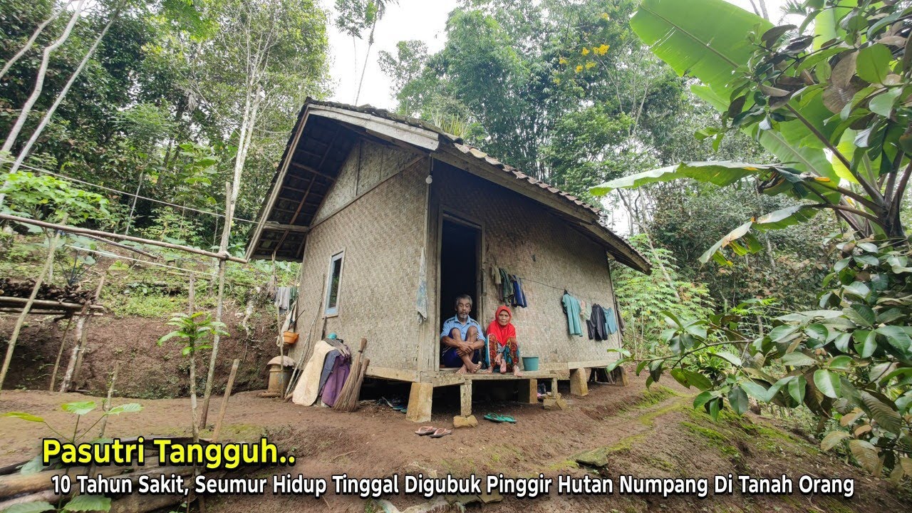 Kisah Haru.. Sepasang Lansia Seumur Hidup Tinggal di Tanah Orang di Gubuk Kecil Pinggir Hutan