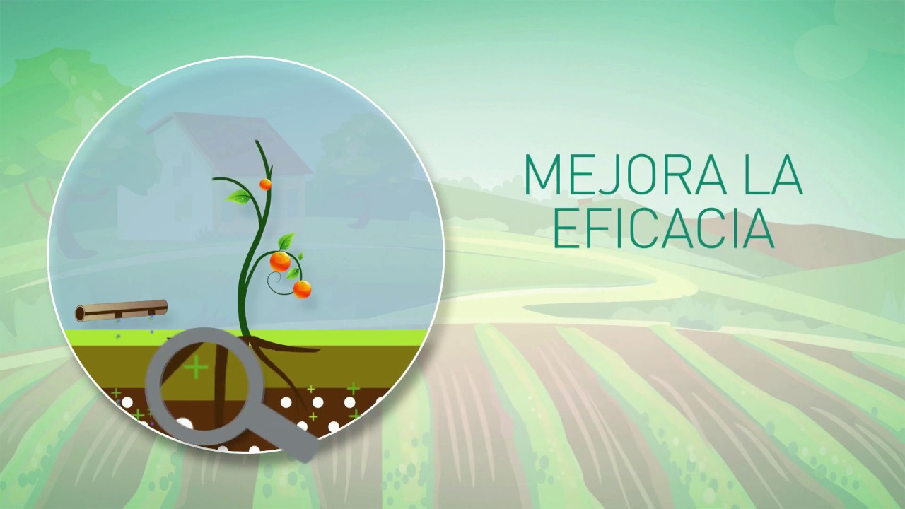 Viva, mejorador de la rizosfera
