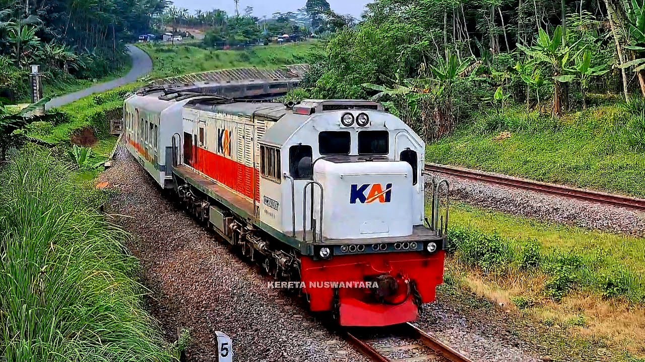 KERETA API PANJANG‼️ MENEMUKAN 31 KERETA API PANJANG DI TIKUNGAN BESAR