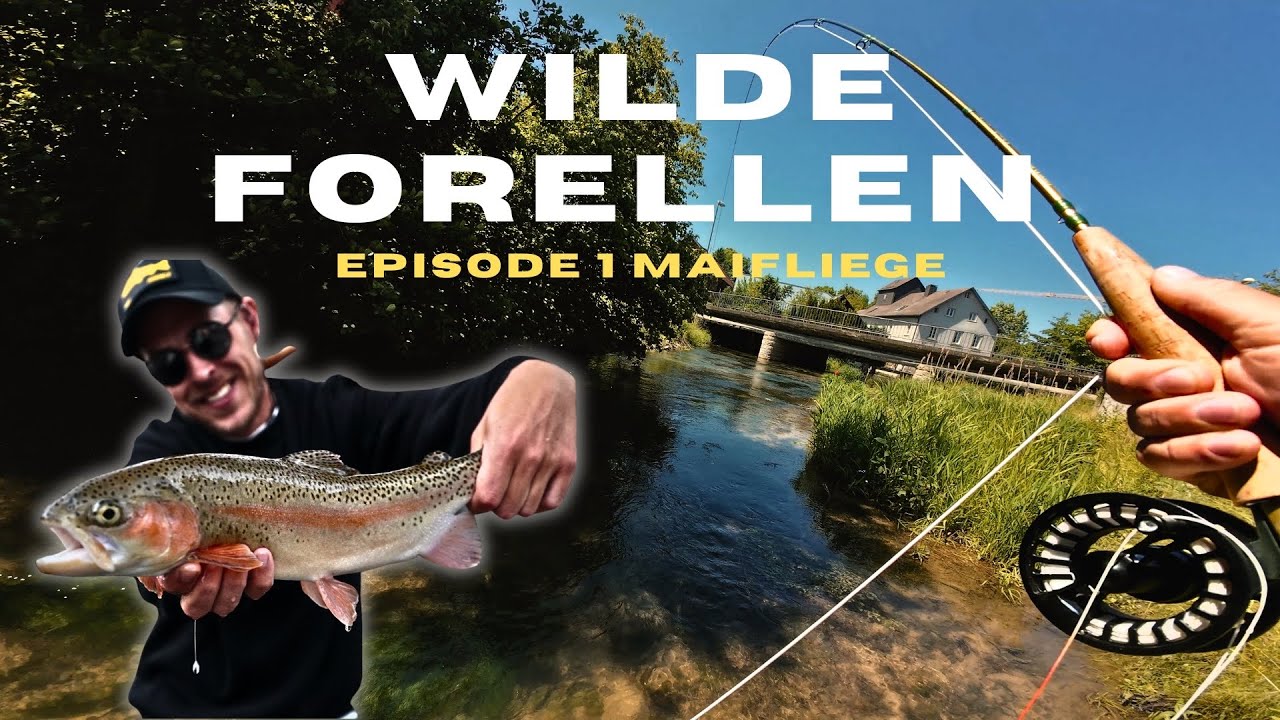 Endlich klappt&rsquo;s! Wilde Forellen auf Trockenfliege gefangen!