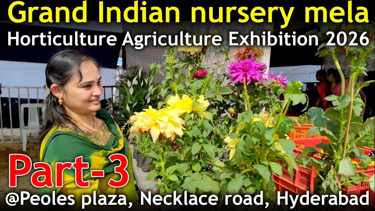 Grand Indian nursery mela Part-3 Hyderabad... Horticulture Agriculture Exhibition 2026 #nurserymela