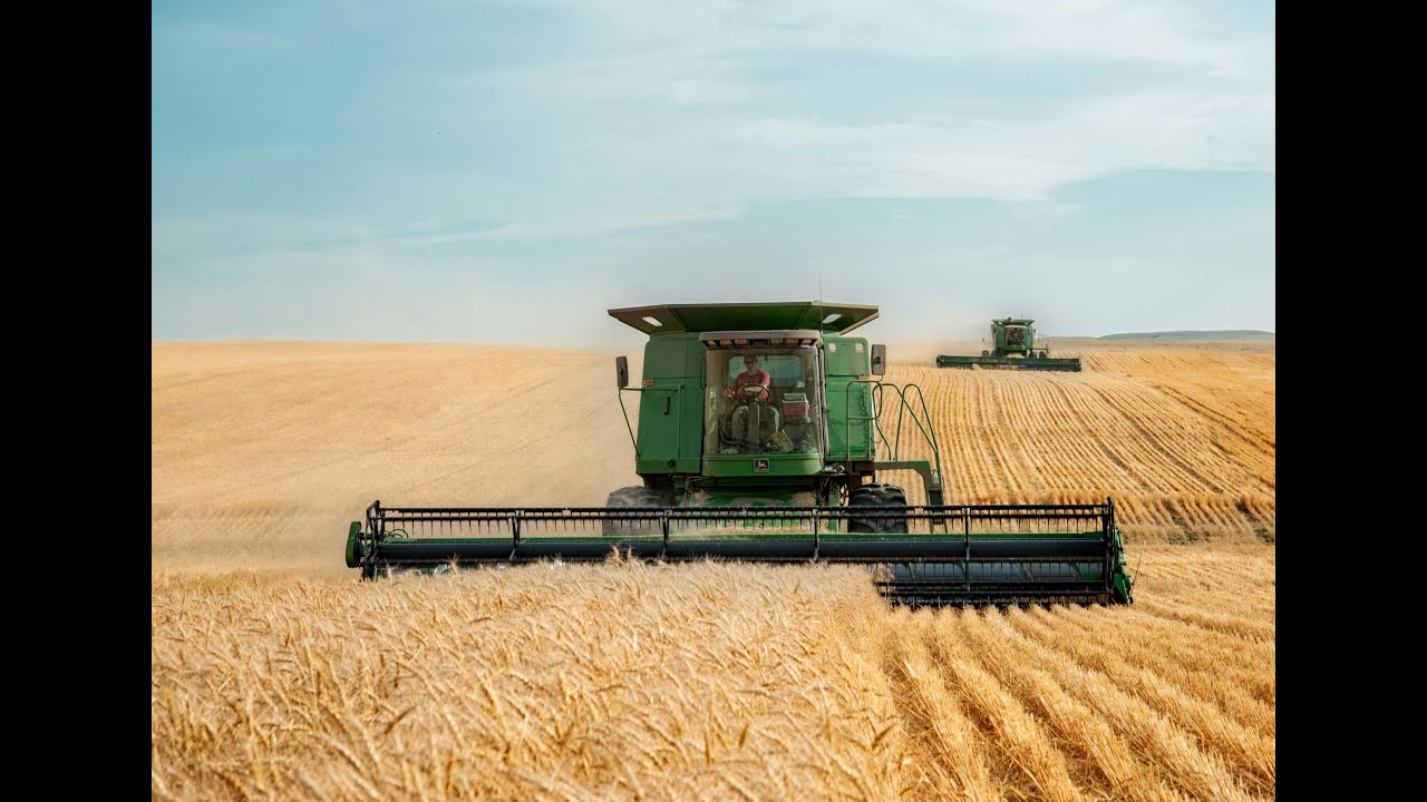 What Does 'Sort the Wheat from the Chaff' Mean?