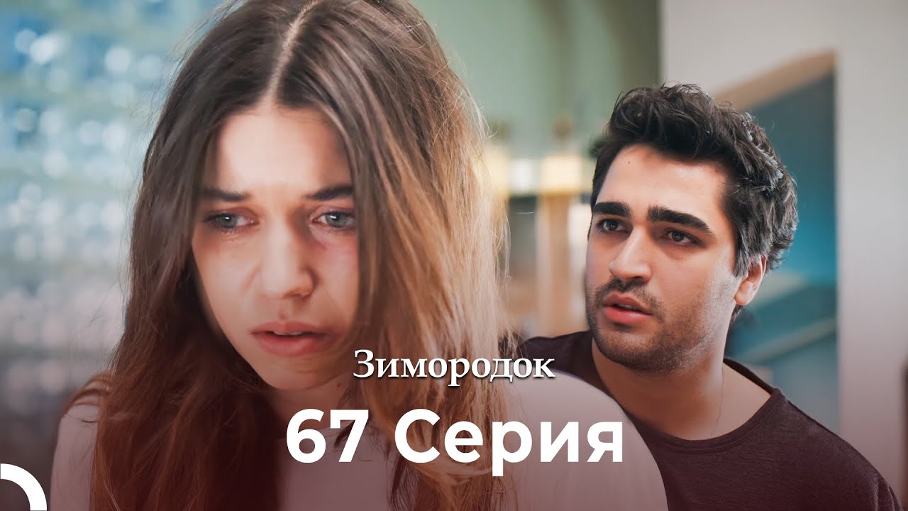 Зимородок 67 Cерия (Русский дубляж) (4K)