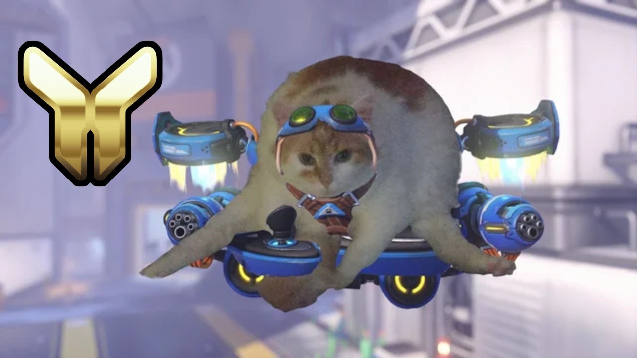 Jet Pack Cat Causing Mayhem In Comp