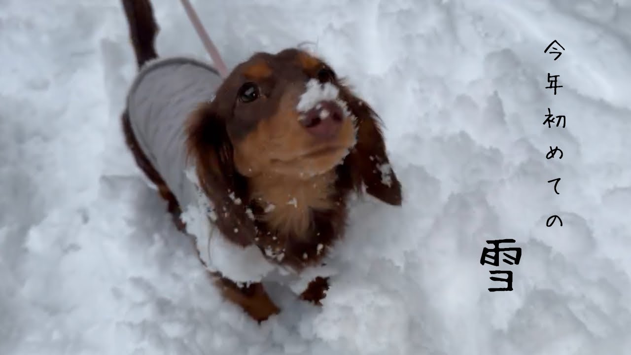 雪遊びをしました⛄️遊んだ後が大変でした😰