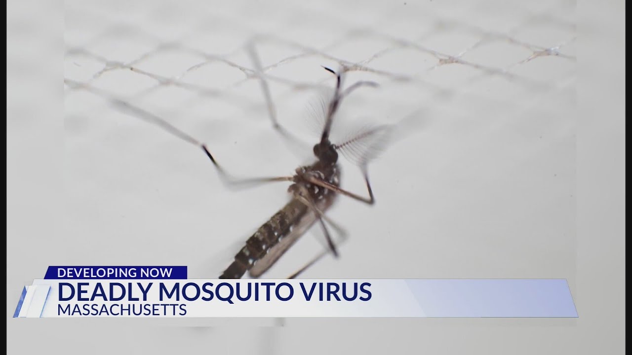 Deadly mosquito-borne virus in Massachusetts