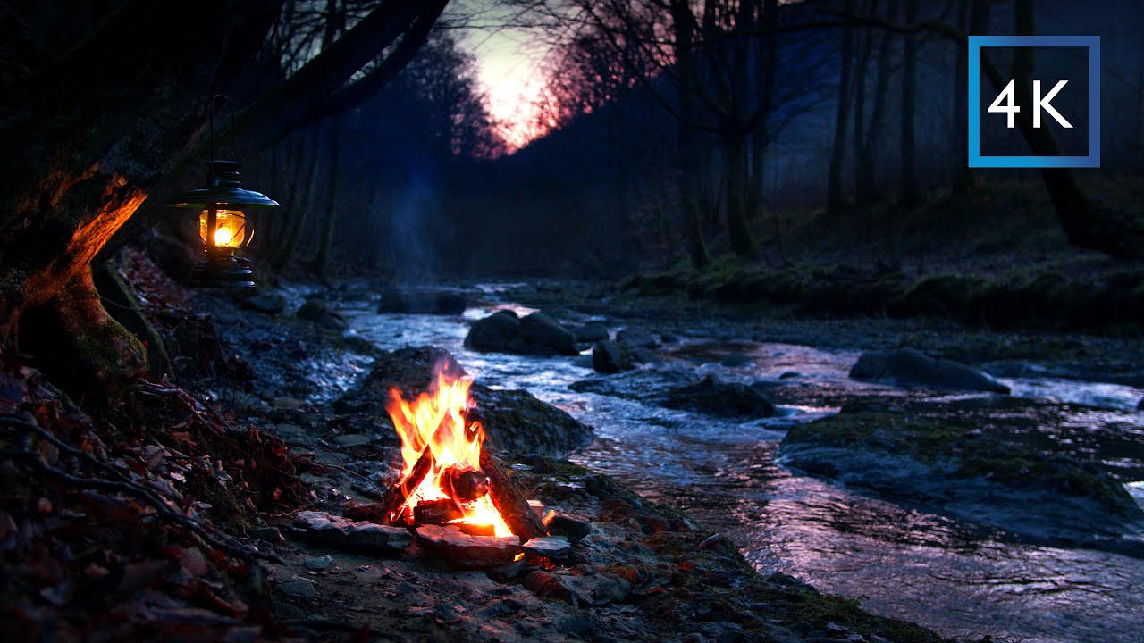 4K Campfire by the river at evening sunset | Relaxing nature sounds | Real video