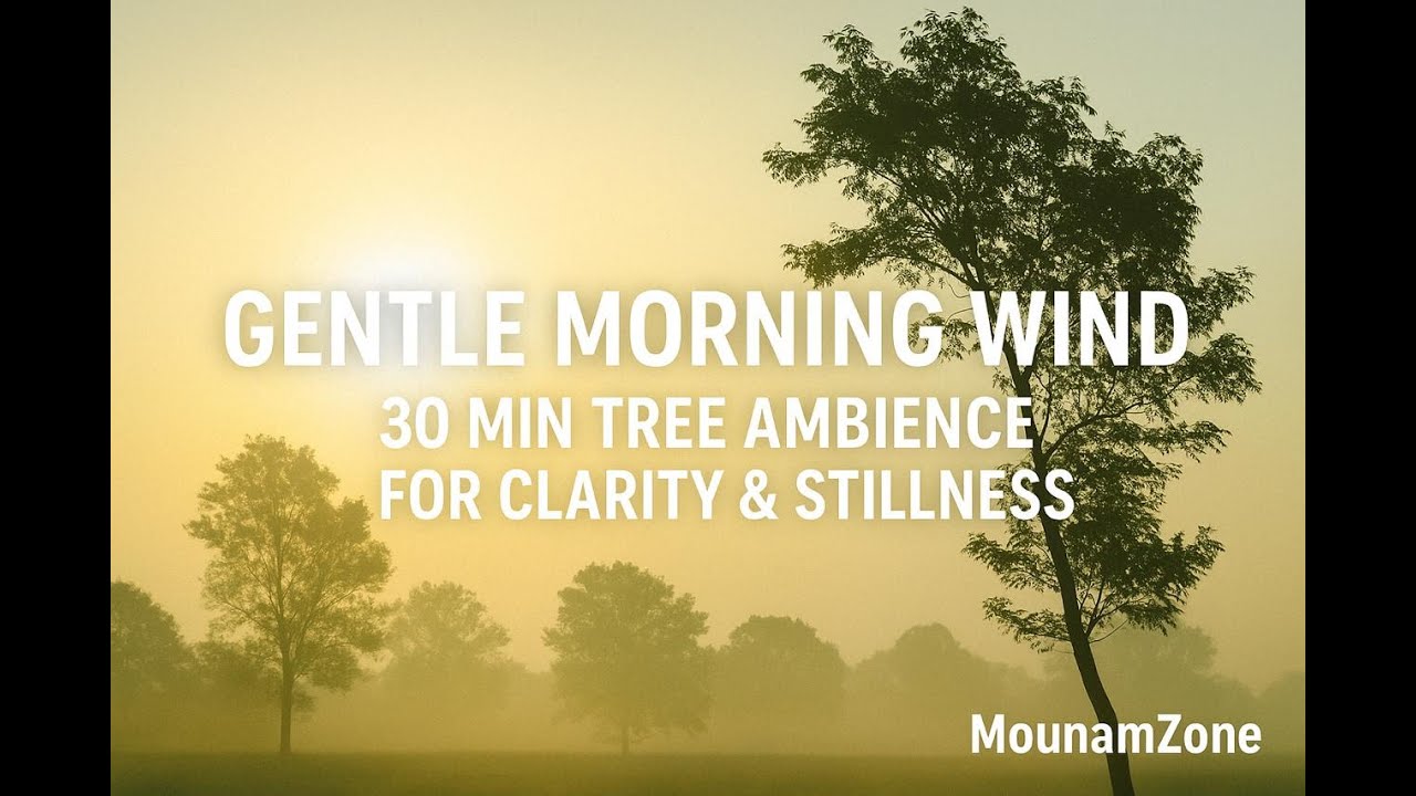 Gentle Morning Wind &ndash; 30 Min Tree Ambience for Clarity & Stillness | MounamZone